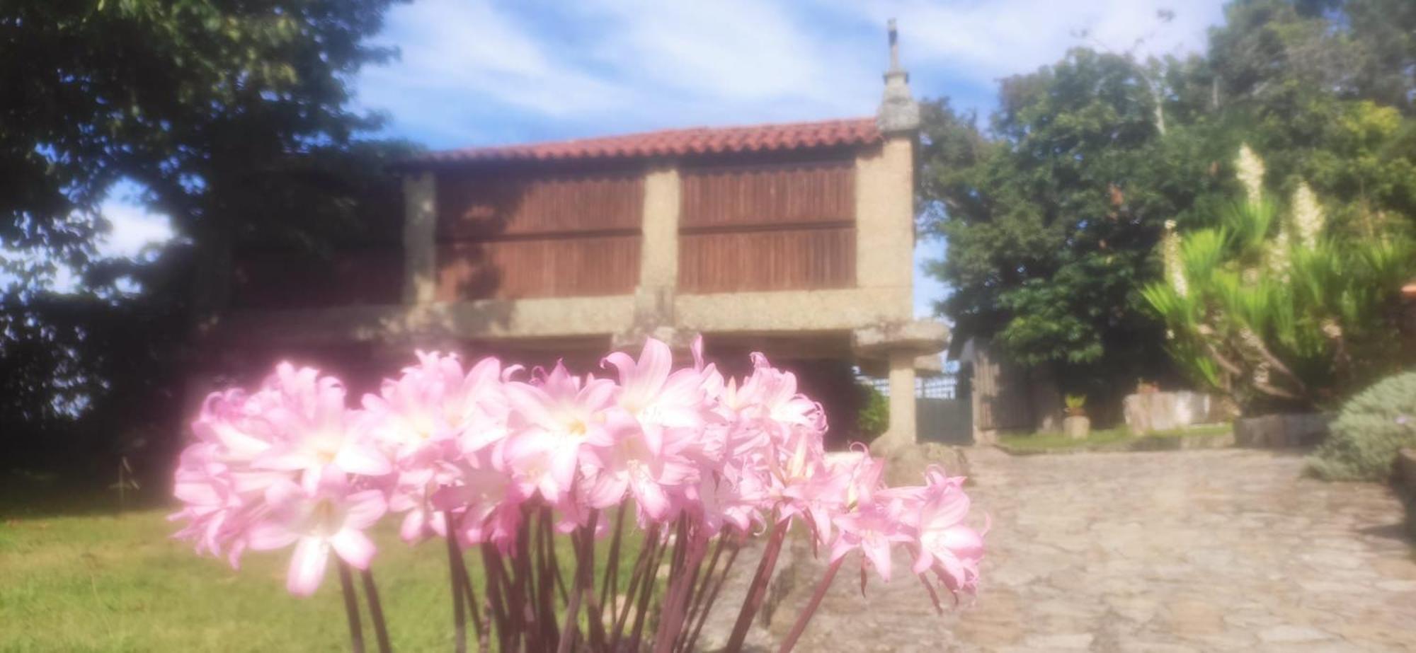 Gasthaus Casal De Folgueiras Rias Baixas Meis Exterior foto